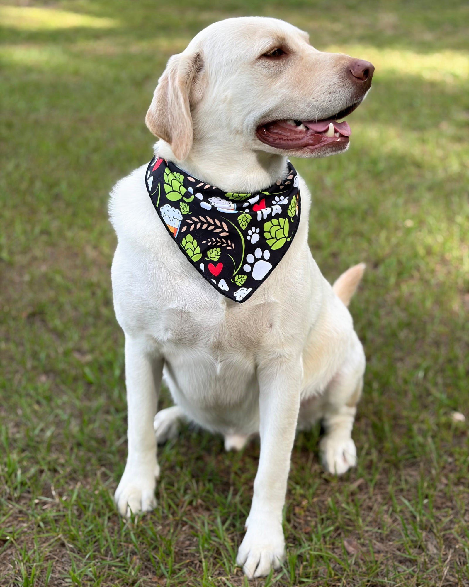 Pet Bandana - Large 25x17 inches