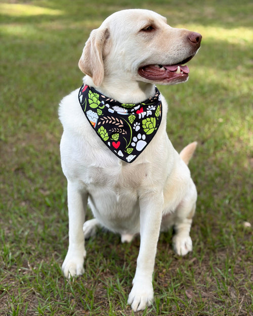 Pet Bandana - Large 25x17 inches
